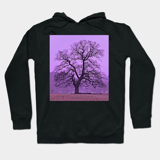 Tree on a winters morning Hoodie by avrilharris